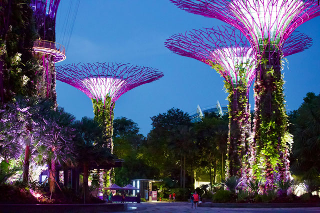 Gardens by the Bay, Marina, Singapore